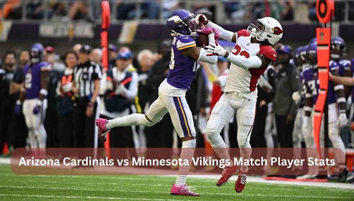 arizona cardinals vs minnesota vikings match player stats